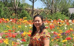 中国合伙人下载地址